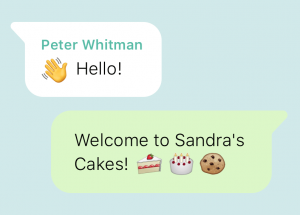 WhatsApp e-commerce integration | Automated Welcome Message